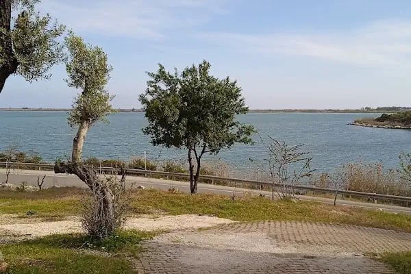 İskele Park - Resim 8