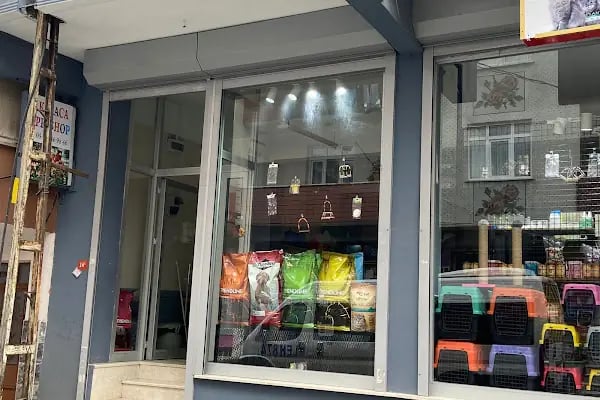 Karaca Petshop Yılmaz Gümüş - Resim 9