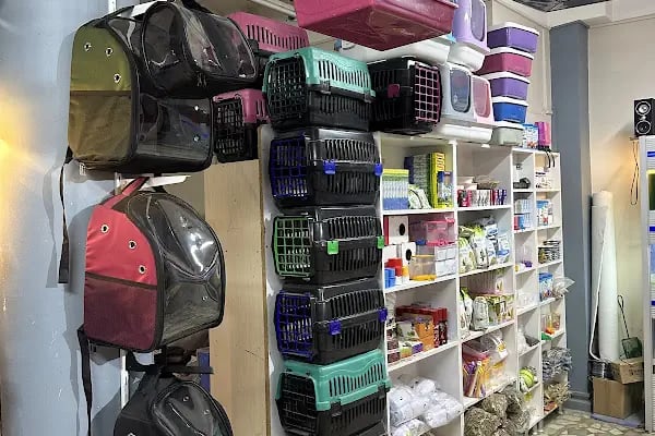 Karaca Petshop Yılmaz Gümüş - Resim 5