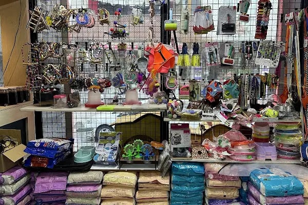 Karaca Petshop Yılmaz Gümüş - Resim 7