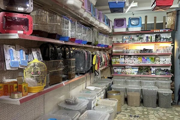 Karaca Petshop Yılmaz Gümüş - Resim 3