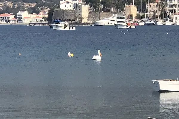 Foça Vertigo plajı - Resim 5