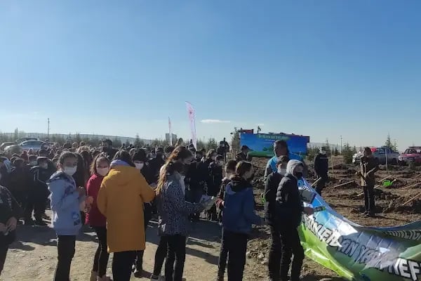 Ekodoğa Tarım Market - Resim 10