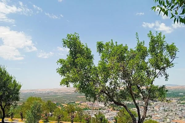 Oğuzeli Belediyesi Deliklitepe Sosyal Tesisi ve Seyir Terası Cafe - Resim 10
