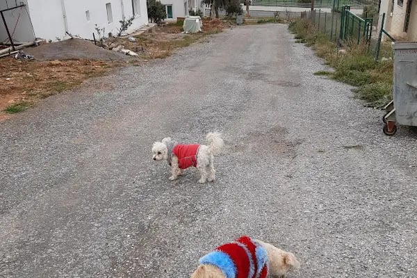 HUZUR PANSİYON - Resim 8