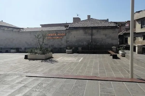 Gümrük Han Kutnucusu ELDEMİR - Resim 8