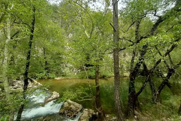 Murtiçi - Resim 2