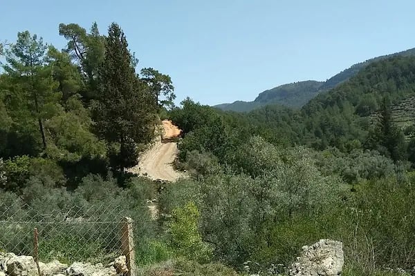 Murtiçi - Resim 11