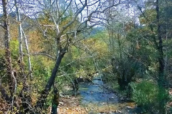 Murtiçi - Resim 12