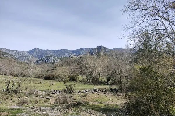 Murtiçi - Resim 8