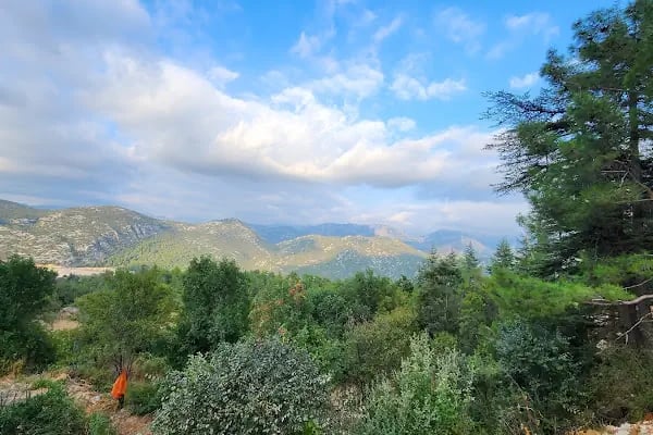 Murtiçi - Resim 4