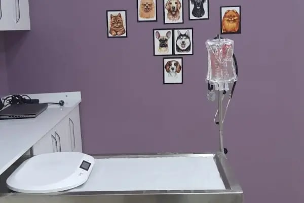 YILMAZLAR VETERİNER KLİNİĞİ - Resim 15