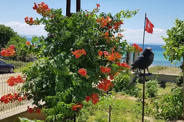 Atatürk cami - Resim 18