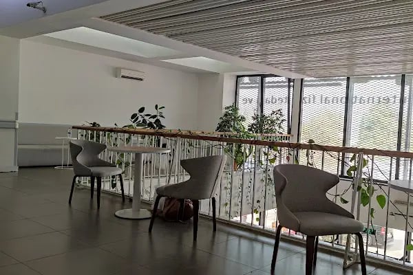 Rommer International Fizik Tedavi ve Rehabilitasyon Tıp Merkezi - Resim 5
