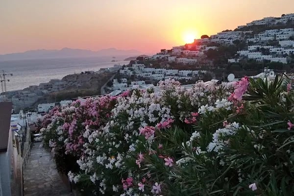 Turgutreis balıkçı kafe - Resim 14