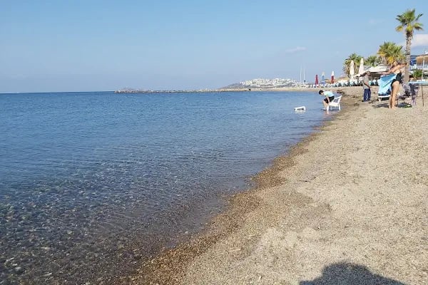 Turgutreis balıkçı kafe - Resim 12