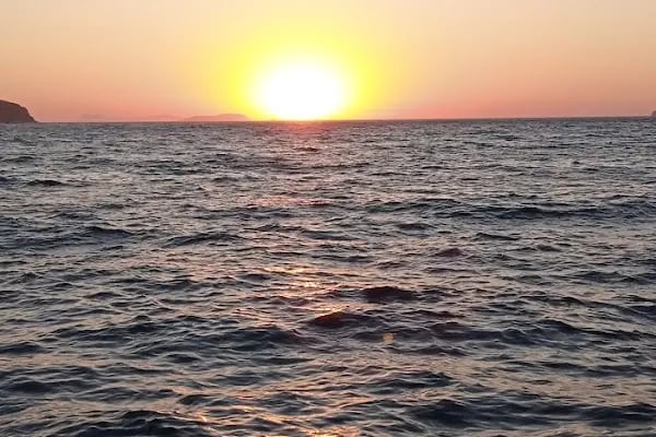 Turgutreis balıkçı kafe - Resim 8