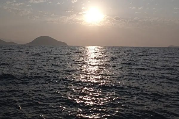 Turgutreis balıkçı kafe - Resim 6