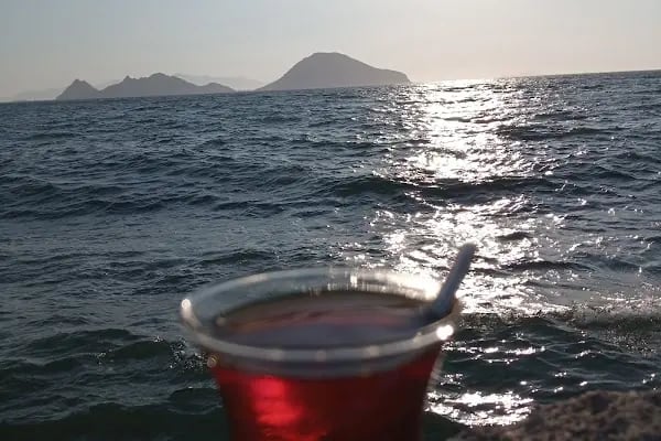 Turgutreis balıkçı kafe - Resim 19