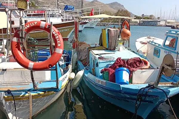 Turgutreis balıkçı kafe - Resim 7