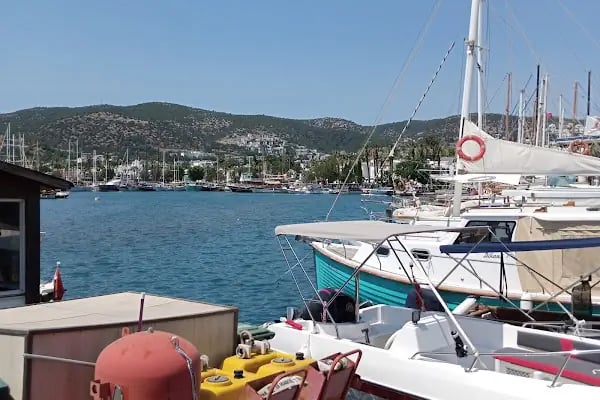 Turgutreis balıkçı kafe - Resim 4