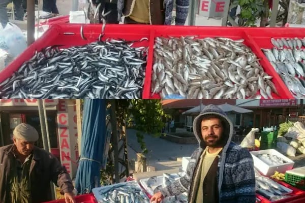 Özkanlar balık ve manav - Resim 8