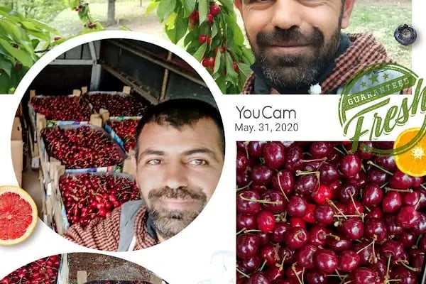 Özkanlar balık ve manav - Resim 10