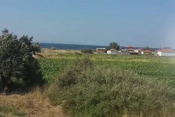 Kazıkbağları - Resim 13