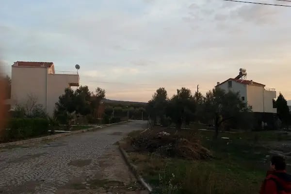 Kazıkbağları - Resim 15