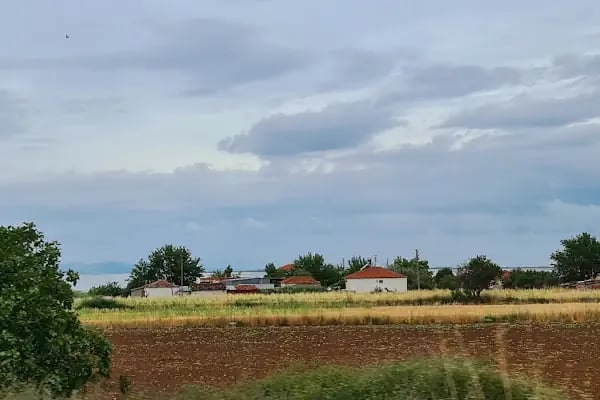 Kazıkbağları - Resim 9