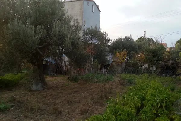 Kazıkbağları - Resim 12