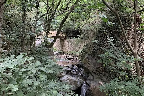 Arakli Os Şelalesi - Resim 9