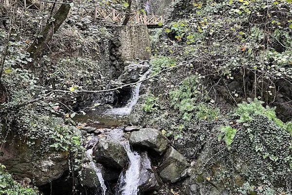 Arakli Os Şelalesi - Resim 6