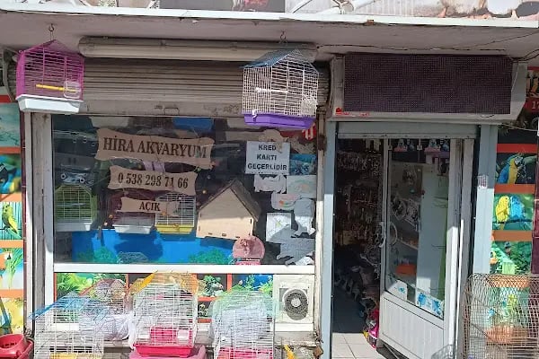 Hira petshop - Resim 8