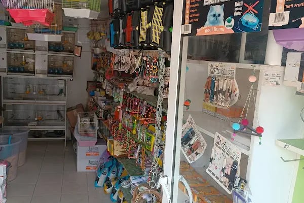 Hira petshop - Resim 7