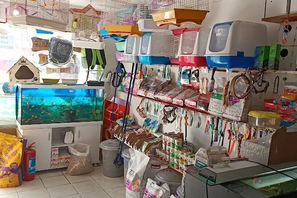 Hira petshop - Resim 3