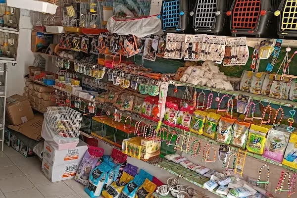Hira petshop - Resim 6