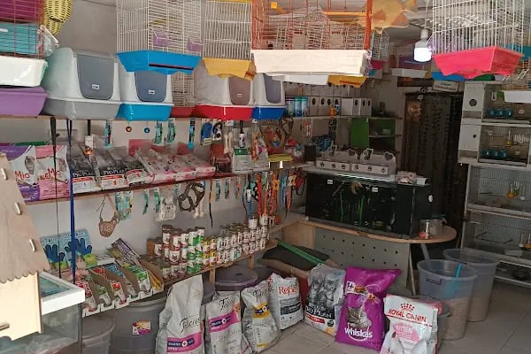 Hira petshop - Resim 5