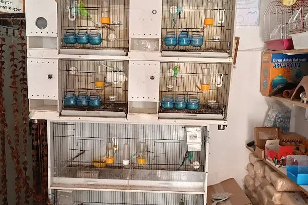 Hira petshop - Resim 2