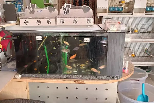 Hira petshop - Resim 4