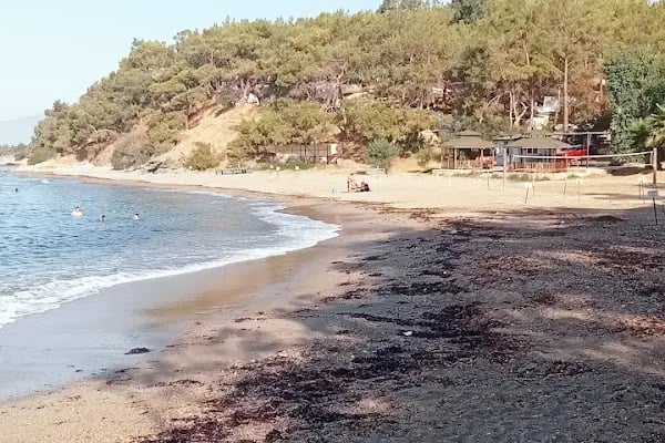Pullu Çadır Kampı - Resim 18