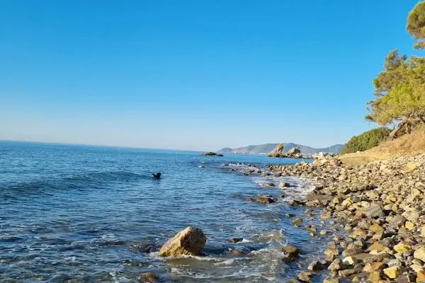 Pullu Çadır Kampı - Resim 15