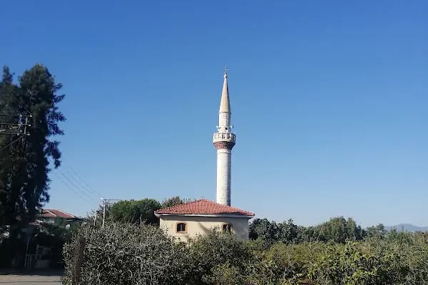 Bahçelerarası Cami - Resim 4