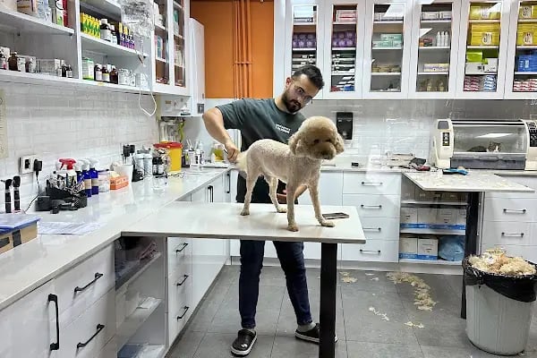 Vetlife Veteriner Kliniği - Resim 12