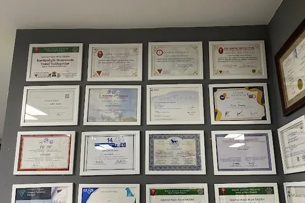 Vetlife Veteriner Kliniği - Resim 7