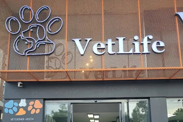 Vetlife Veteriner Kliniği - Resim 10