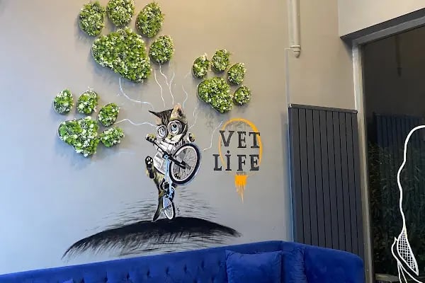 Vetlife Veteriner Kliniği - Resim 4