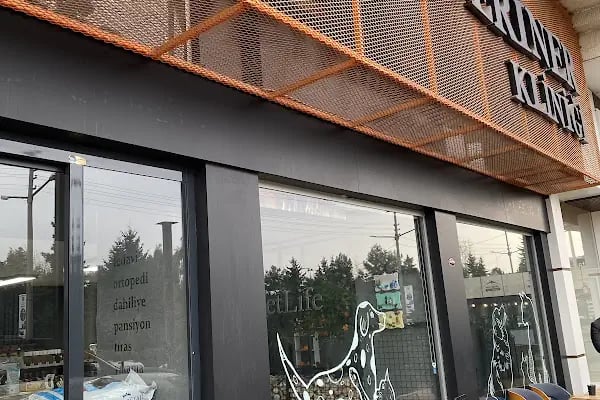 Vetlife Veteriner Kliniği - Resim 3