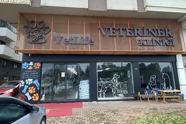 Vetlife Veteriner Kliniği - Resim 6