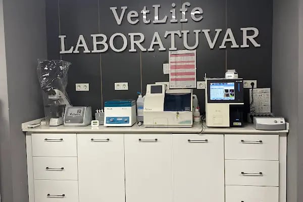 Vetlife Veteriner Kliniği - Resim 8